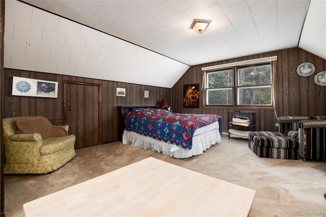 178 Elk Rd, Idaho Springs, CO 80452 - photo 20