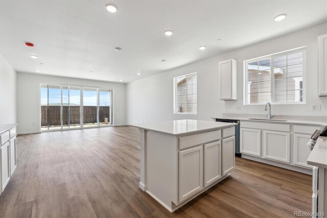 19060 E 96th Pl, Commerce City, CO 80022 - photo 7