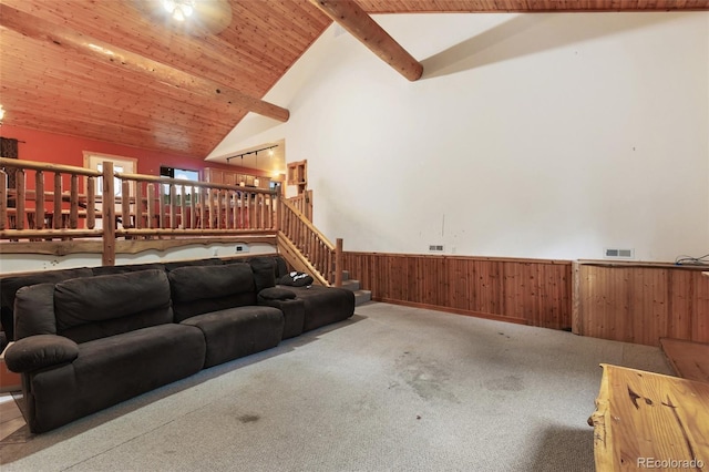 50 Worley Rd, Divide, CO 80814 - photo 15