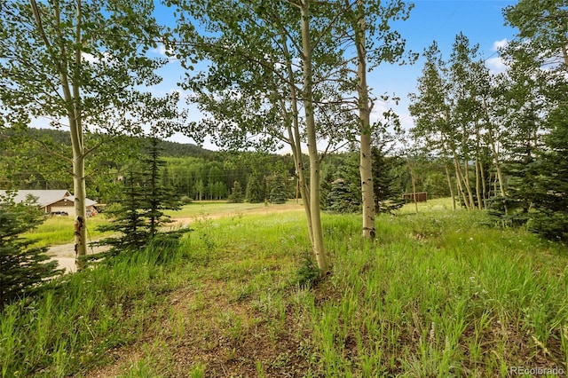 50 Worley Rd, Divide, CO 80814 - photo 24