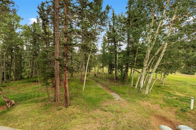 50 Worley Rd, Divide, CO 80814 - photo 25