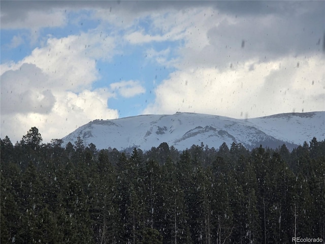 50 Worley Rd, Divide, CO 80814 - photo 28