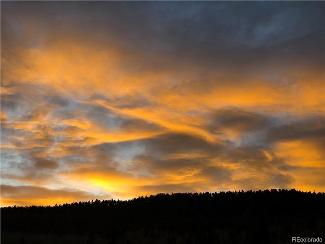 50 Worley Rd, Divide, CO 80814 - photo 29