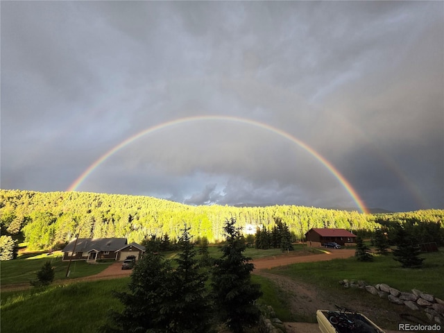 50 Worley Rd, Divide, CO 80814 - photo 30