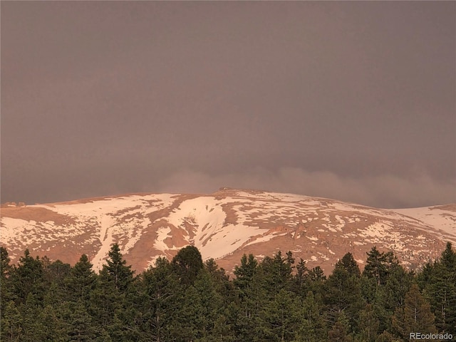 50 Worley Rd, Divide, CO 80814 - photo 31