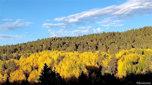 50 Worley Rd, Divide, CO 80814 - photo 33