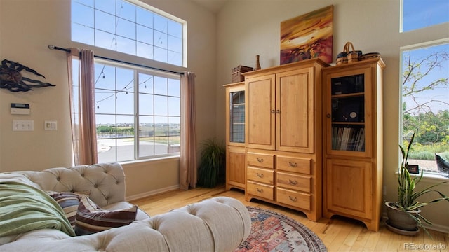 359 S Cherry St, Castle Rock, CO 80104 - photo 9