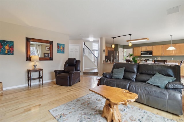 359 S Cherry St, Castle Rock, CO 80104 - photo 17