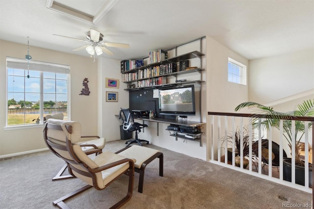 359 S Cherry St, Castle Rock, CO 80104 - photo 19