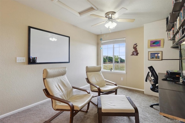 359 S Cherry St, Castle Rock, CO 80104 - photo 20