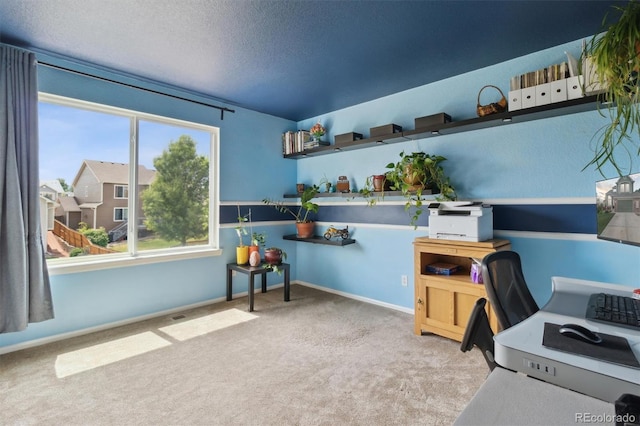 359 S Cherry St, Castle Rock, CO 80104 - photo 24