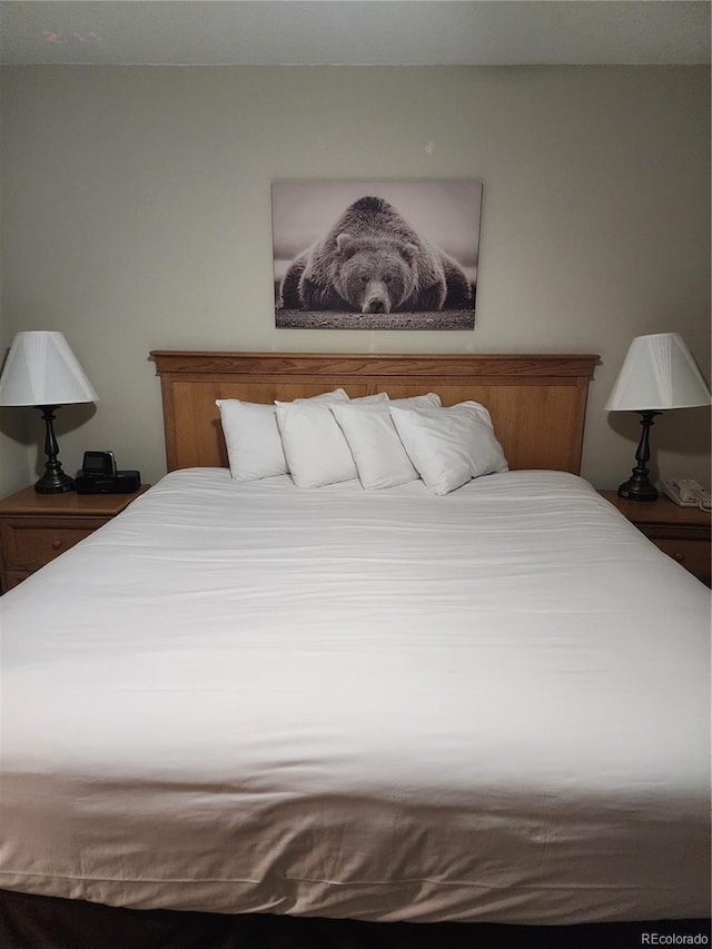 6 Emmons Rd Unit 476, Mount Crested Butte, CO 81225 - photo 10