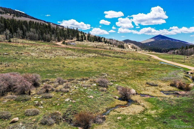 1319 Anges Dr, Cripple Creek, CO 80813 - photo 3
