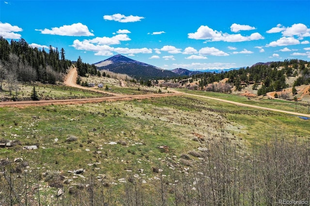 1319 Anges Dr, Cripple Creek, CO 80813 - photo 5