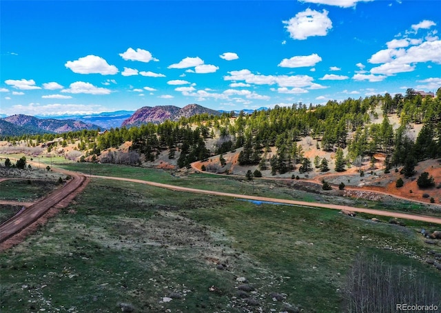 1319 Anges Dr, Cripple Creek, CO 80813 - photo 6