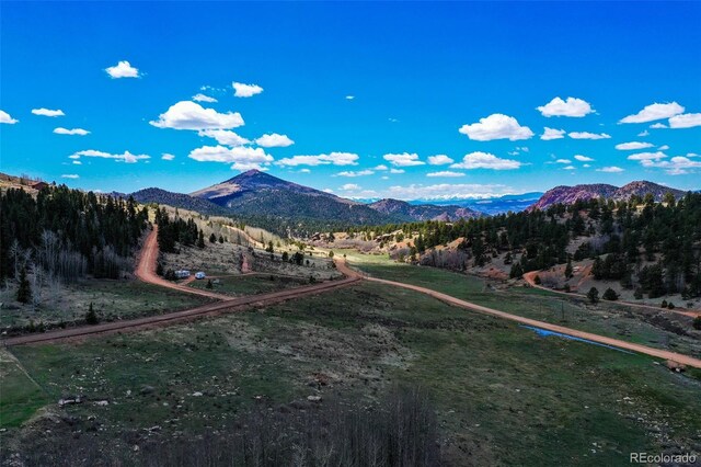 1319 Anges Dr, Cripple Creek, CO 80813 - photo 7