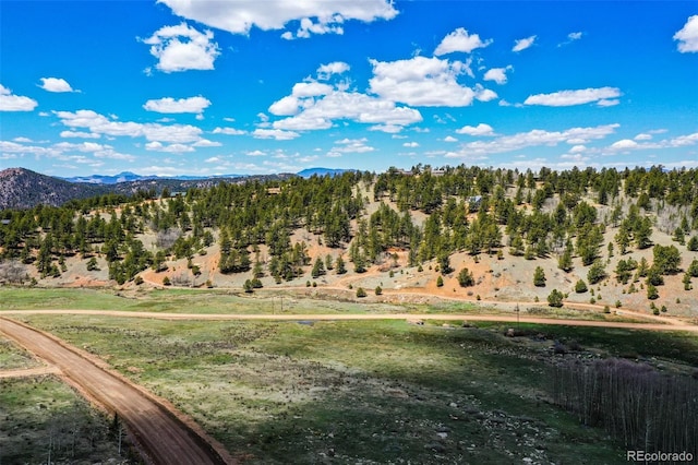 1319 Anges Dr, Cripple Creek, CO 80813 - photo 8