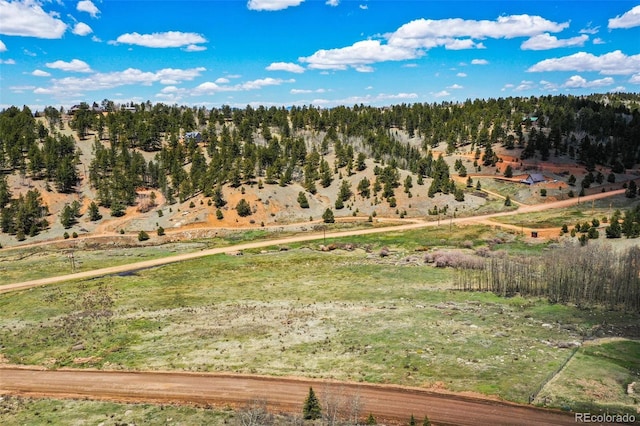 1319 Anges Dr, Cripple Creek, CO 80813 - photo 9