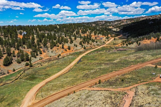 1319 Anges Dr, Cripple Creek, CO 80813 - photo 10