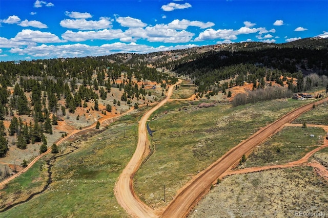 1319 Anges Dr, Cripple Creek, CO 80813 - photo 11