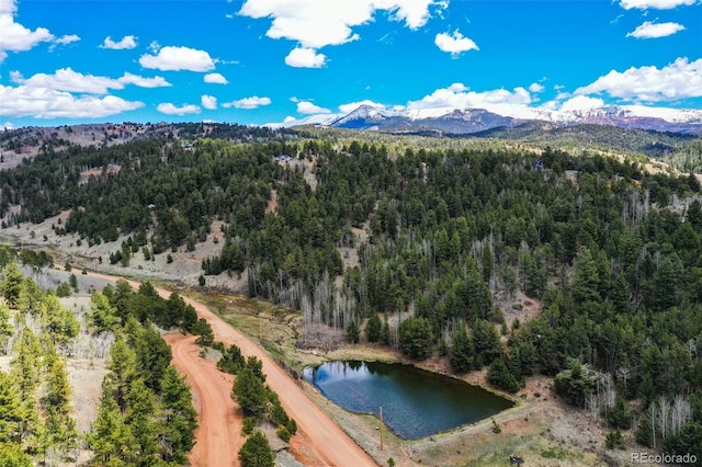 1319 Anges Dr, Cripple Creek, CO 80813 - photo 13