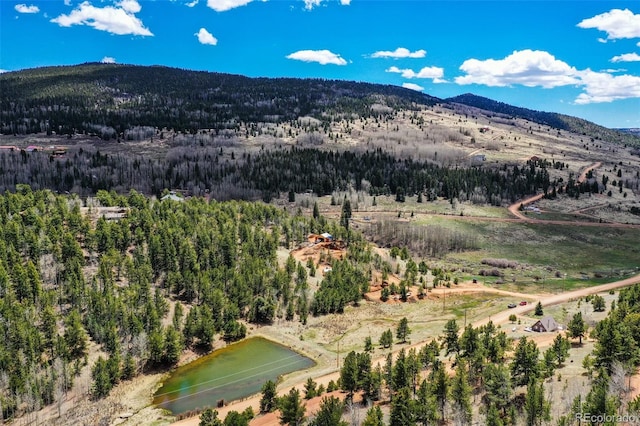 1319 Anges Dr, Cripple Creek, CO 80813 - photo 14