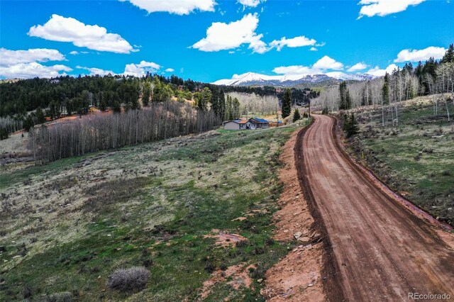 1319 Anges Dr, Cripple Creek, CO 80813 - photo 15