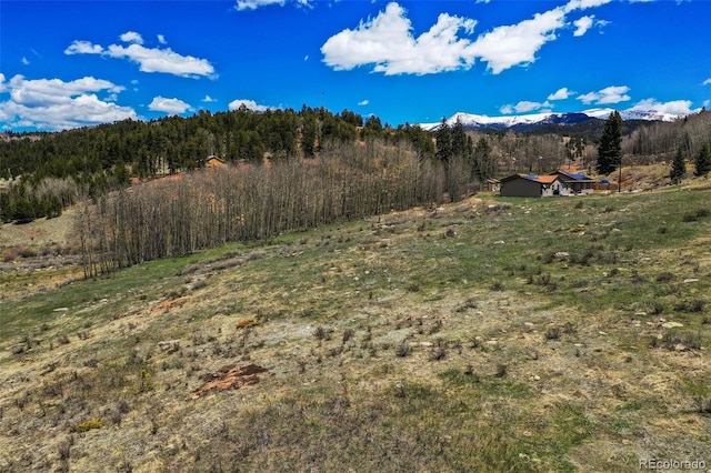 1319 Anges Dr, Cripple Creek, CO 80813 - photo 16