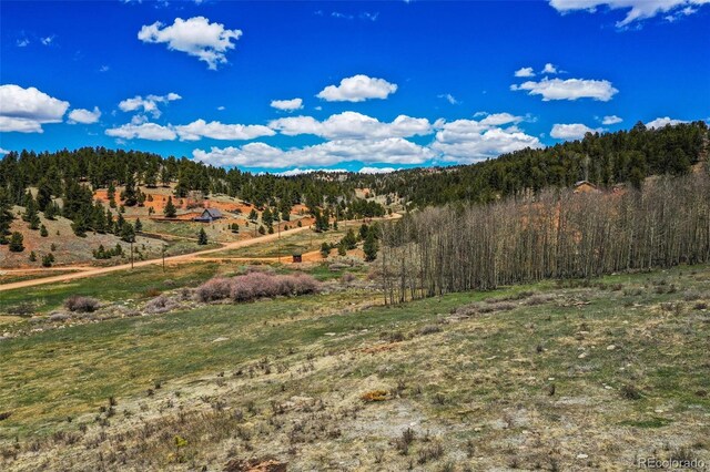 1319 Anges Dr, Cripple Creek, CO 80813 - photo 17