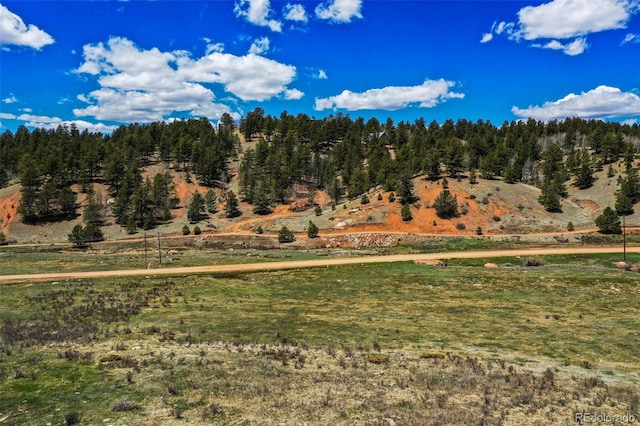 1319 Anges Dr, Cripple Creek, CO 80813 - photo 18