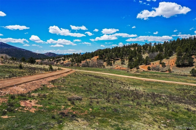 1319 Anges Dr, Cripple Creek, CO 80813 - photo 19