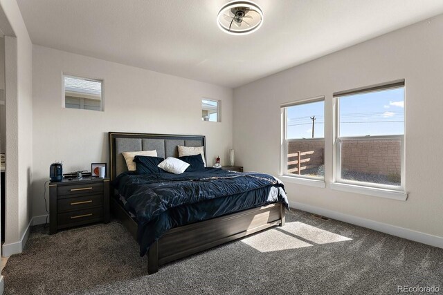 9257 Bugaboo Dr, Colorado Springs, CO 80924 - photo 33