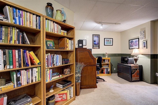 office space with carpet floors and rail lighting