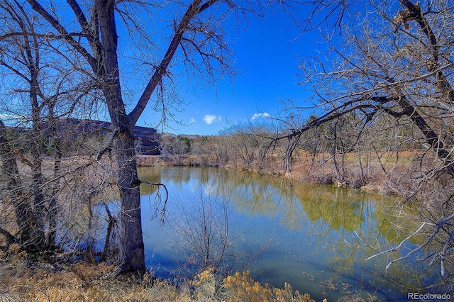 water view featuring a forest view