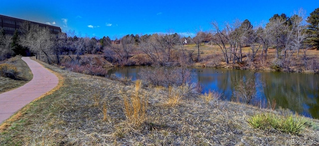 283 Yank Ct, Lakewood, CO 80228 - photo 32