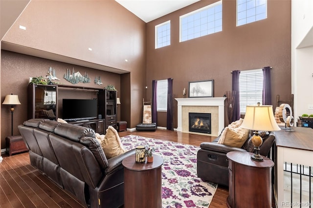 living room with a high ceiling and dark hardwood / wood-style floors