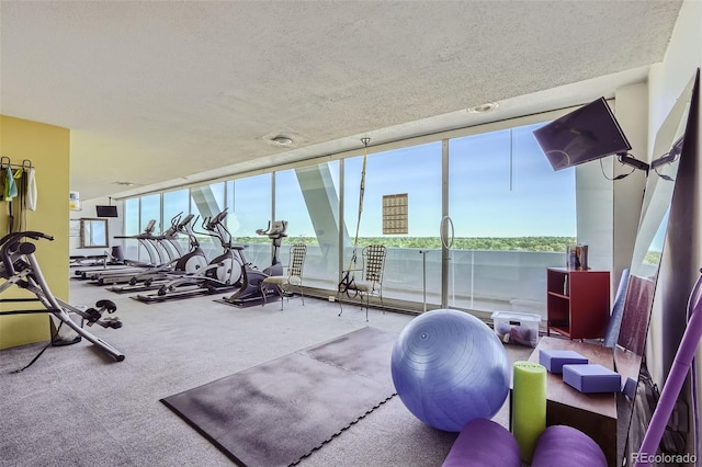 workout area featuring a textured ceiling and carpet flooring