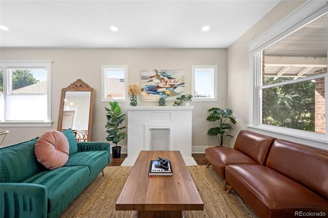 living room with a fireplace, baseboards, wood finished floors, and recessed lighting