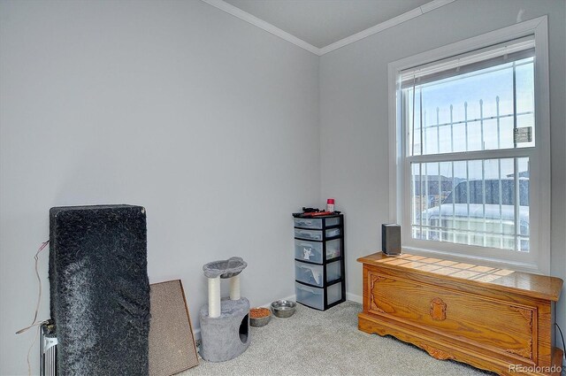 25341 County Road Z, Sanford, CO 81151 - photo 34