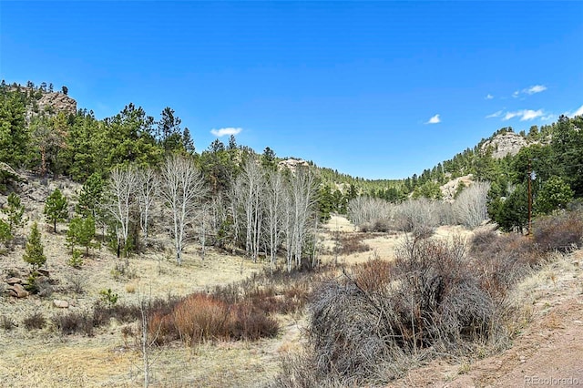 1077 Canyon Dr, Florissant CO, 80816 land for sale