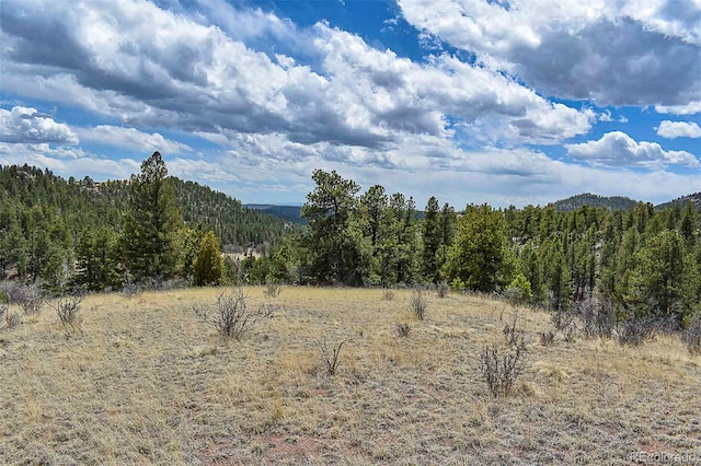 Listing photo 2 for 1077 Canyon Dr, Florissant CO 80816