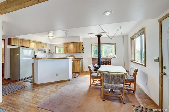 103 Foxtail Ct, Fairplay, CO 80440 - photo 9