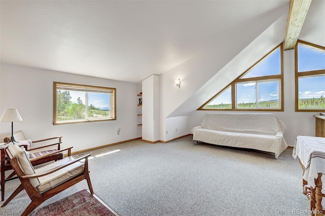 103 Foxtail Ct, Fairplay, CO 80440 - photo 20