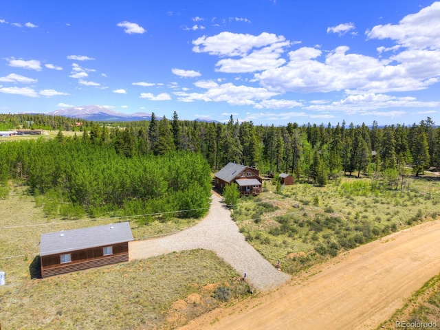 103 Foxtail Ct, Fairplay, CO 80440 - photo 36
