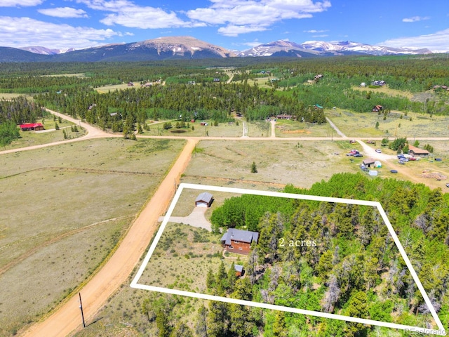103 Foxtail Ct, Fairplay, CO 80440 - photo 39