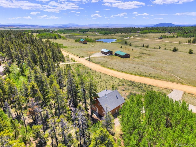 103 Foxtail Ct, Fairplay, CO 80440 - photo 41