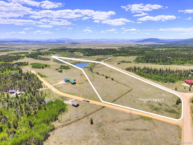 103 Foxtail Ct, Fairplay, CO 80440 - photo 42