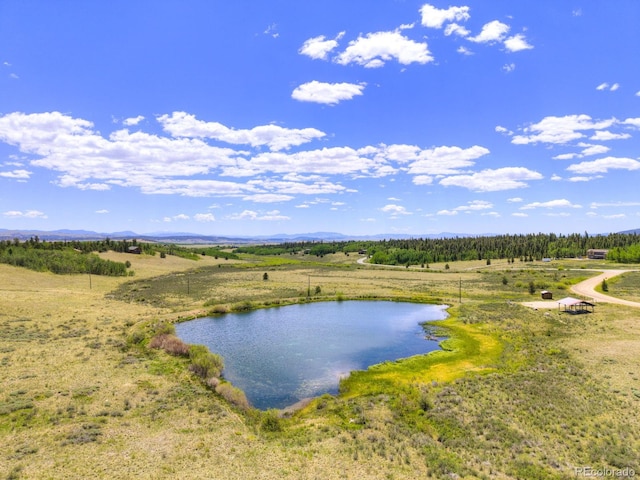 103 Foxtail Ct, Fairplay, CO 80440 - photo 43