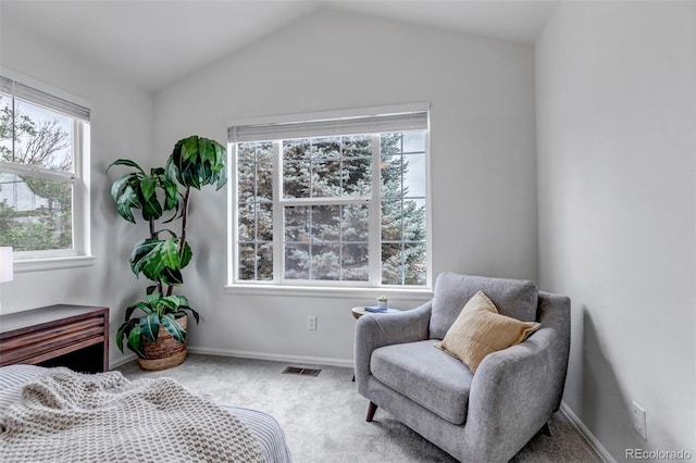 3708 Bucknell Dr, Highlands Ranch, CO 80129 - photo 28