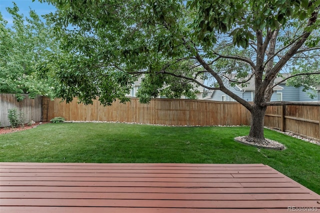 3708 Bucknell Dr, Highlands Ranch, CO 80129 - photo 44